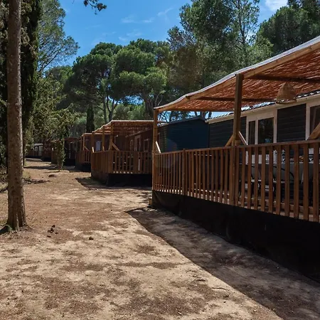 Tia Polly & Indiana Jones & Yoko Ono Holiday home