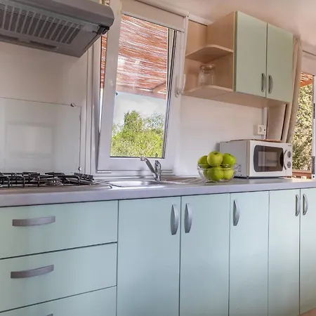 Tia Polly & Indiana Jones & Yoko Ono * L' Escala