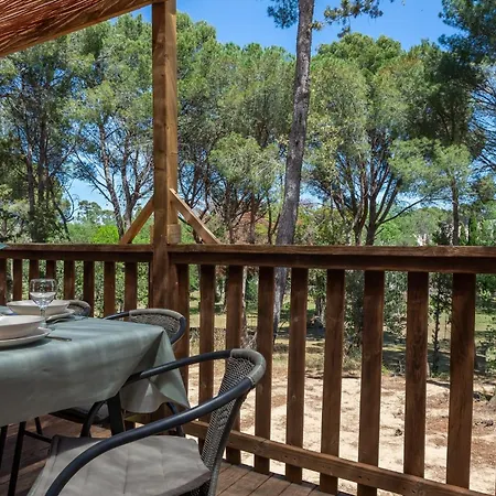 Tia Polly & Indiana Jones & Yoko Ono *